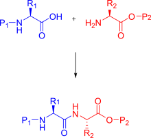 Synthetic Peptides