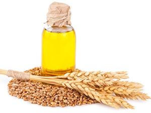 wheat-germ-oil