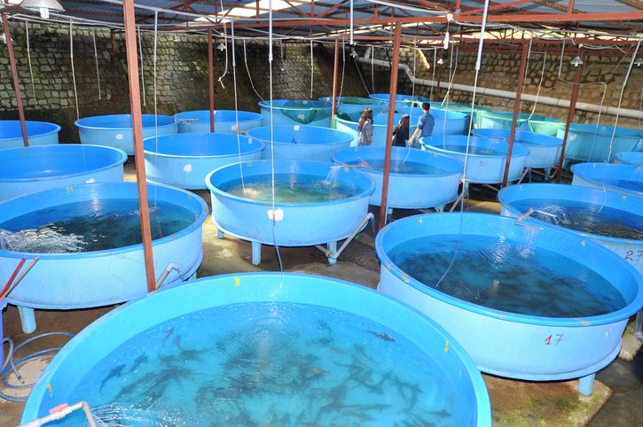 aquaculture