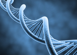 biologics-&amp;-biosimilars