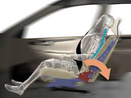 Vehicle Whiplash Protection System