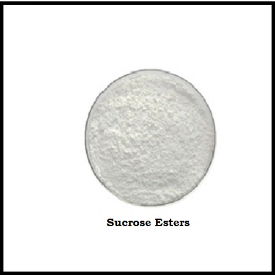 Sucrose Esters