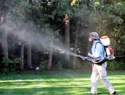 mosquito-control-service