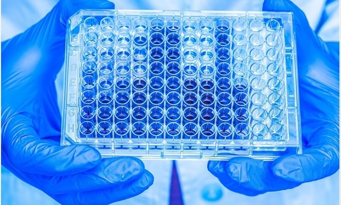 singleplex-immunoassay