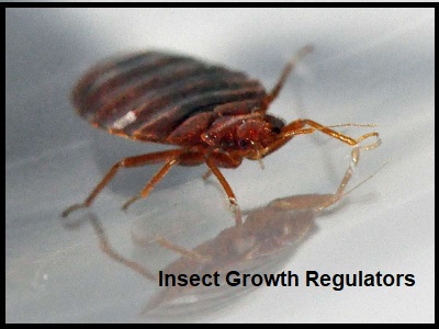 Insect Growth Regulators