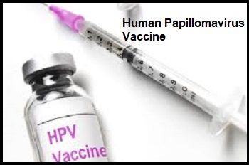 Human Papillomavirus Vaccine