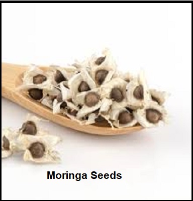 Moringa Seeds