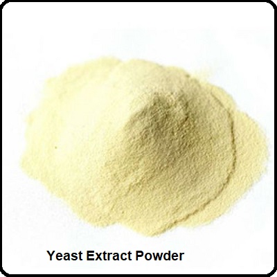 Yeast Extract Powder