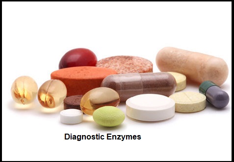 diagnostic-enzymes