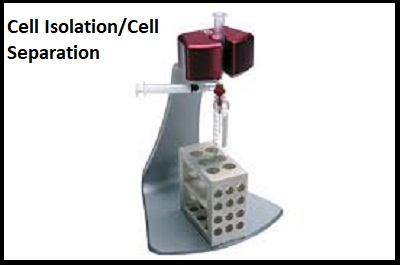Cell Isolation/Cell Separation