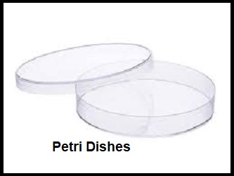 Petri Dishes