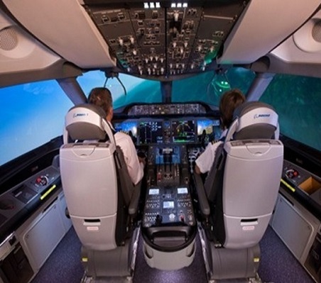 Commercial Avionics Systems