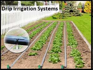 drip-irrigation-systems