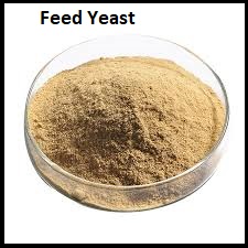 22324-feed-yeast