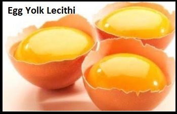 egg-yolk-lecithi