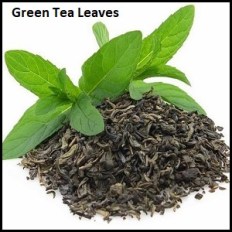 Green Tea Leaves