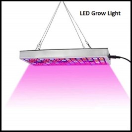LED Grow Light