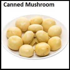 Canned Mushroom