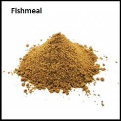 fishmeal