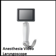 Anesthesia Video Laryngoscope
