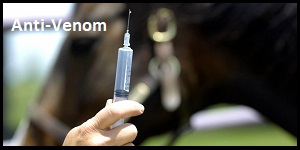 Anti-Venom
