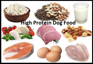 High Protein Dog Food