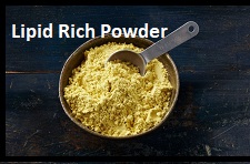 Lipid Rich Powder