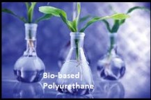 Bio-based Polyurethane