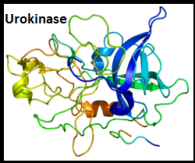 5892-urokinase