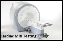 Cardiac MRI Testing System