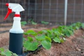 Garden Pesticides