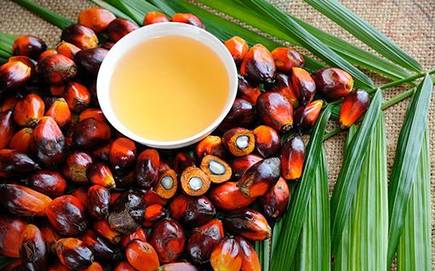 Palm Oil