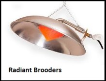 Radiant Brooders