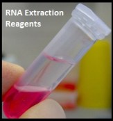 rna-extraction-reagents