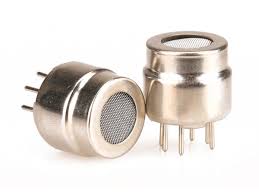 Solid Electrolyte Gas Sensor