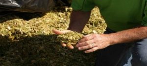 Agricultural Inoculants