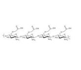 Carboxymethyl Chitosan