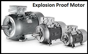 Explosion Proof Motor