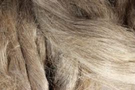 Hemp Fiber