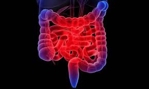 Inflammatory Bowel Disease Drugs