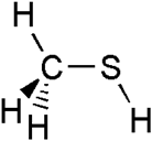 Methyl Mercaptan
