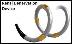 Renal Denervation Device