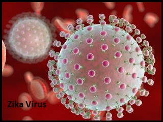 Zika Virus