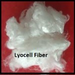 25650-Lyocell Fiber