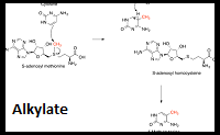 Alkylate