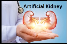Artificial Kidney