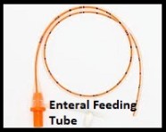 Enteral Feeding Tube