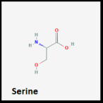 Serine