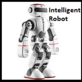 Intelligent Robot