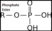 Phosphate Ester